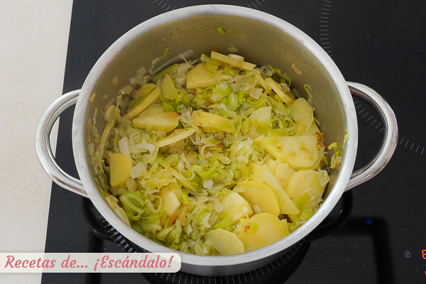 Cebolla vichyssoise casera