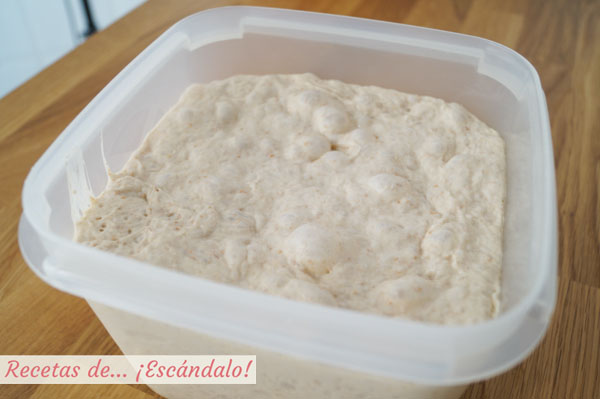 Masa fermentada de pan