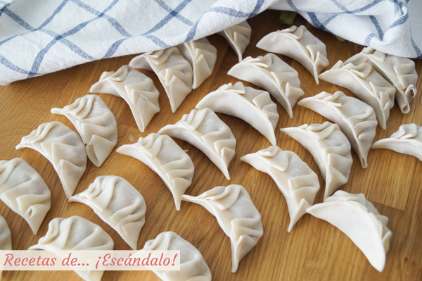 Gyozas o empanadillas japonesas, dumplings