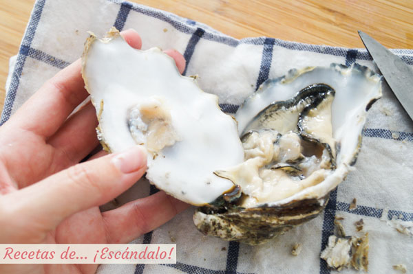 Concha plana de la ostra