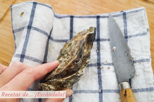 Ostra francesa gillardeaut