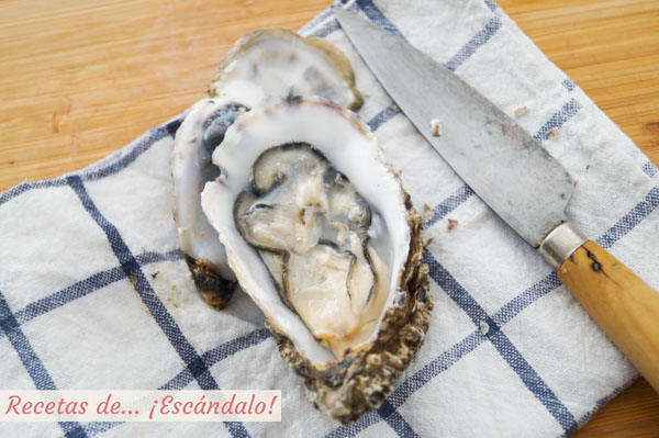 Ostra francesa recien abierta