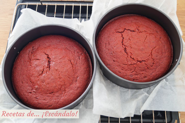 Bizcochos para tarta Red Velvet