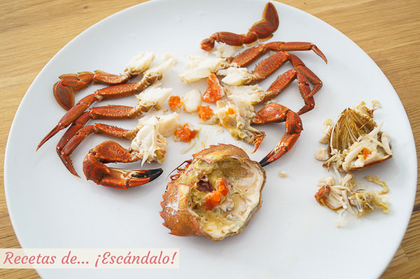 Como abrir y comer necoras