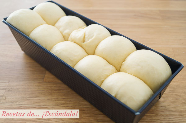 Fermentacion brioche casero