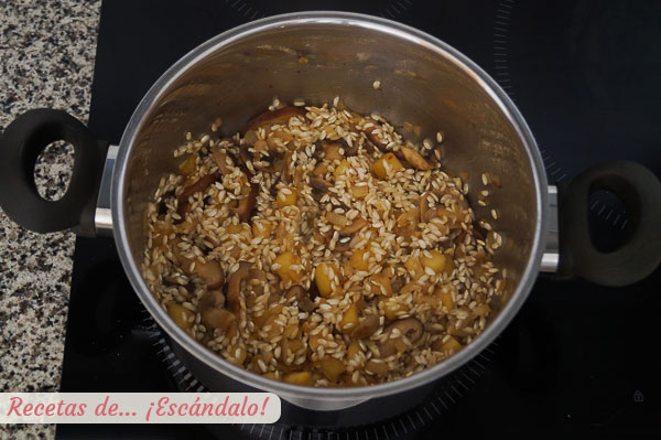 Ingredientes risotto italiano de setas