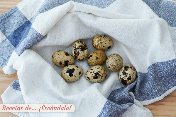 Huevos de codorniz duros