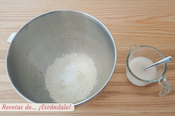 Ingredientes pan naan indio